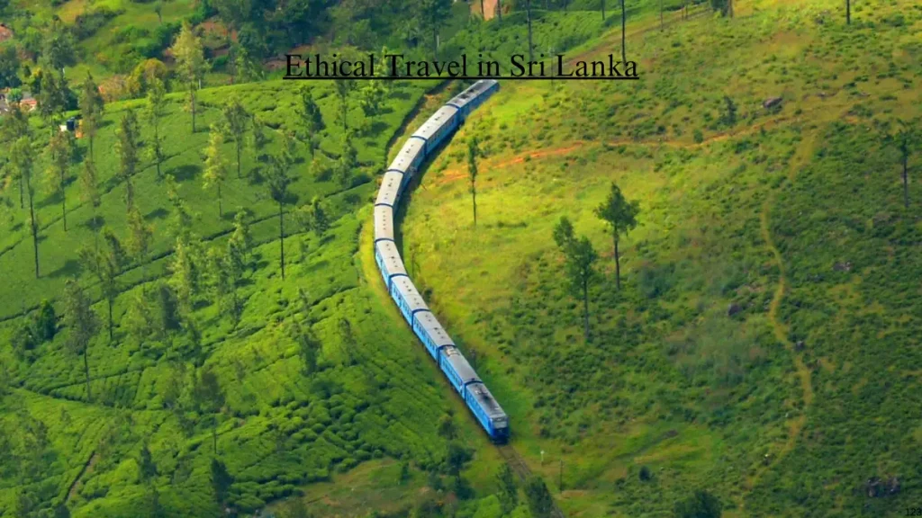 How to Travel Ethically in Sri Lanka