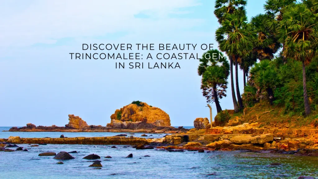 Discover the Beauty of Trincomalee: A Coastal Gem in Sri Lanka