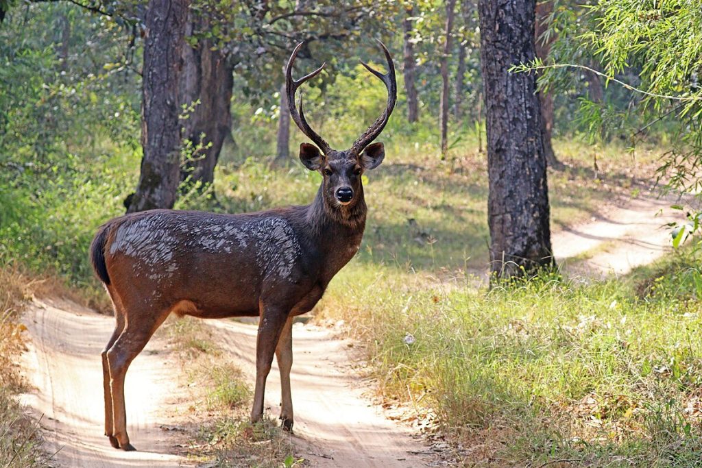 Horton Plains National Park to Worlds End