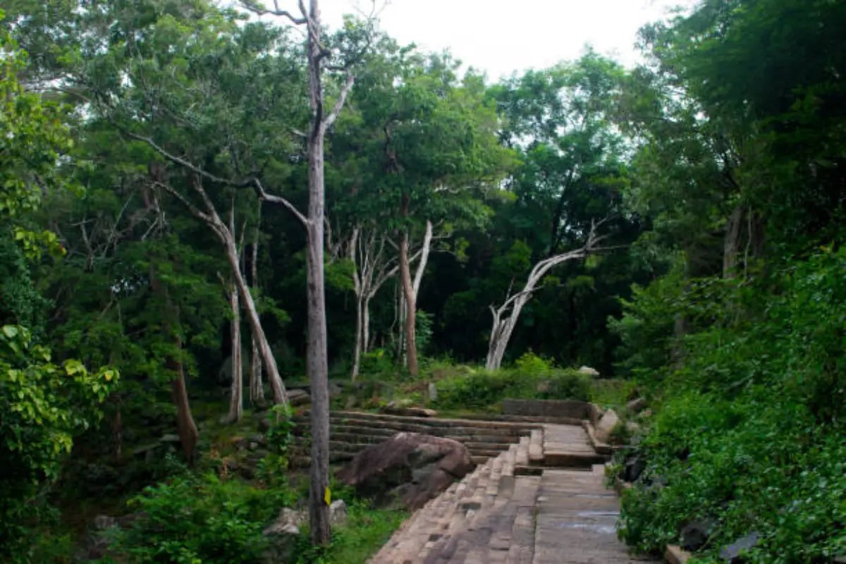 Exploring the Mystical Ruins of Ritigala