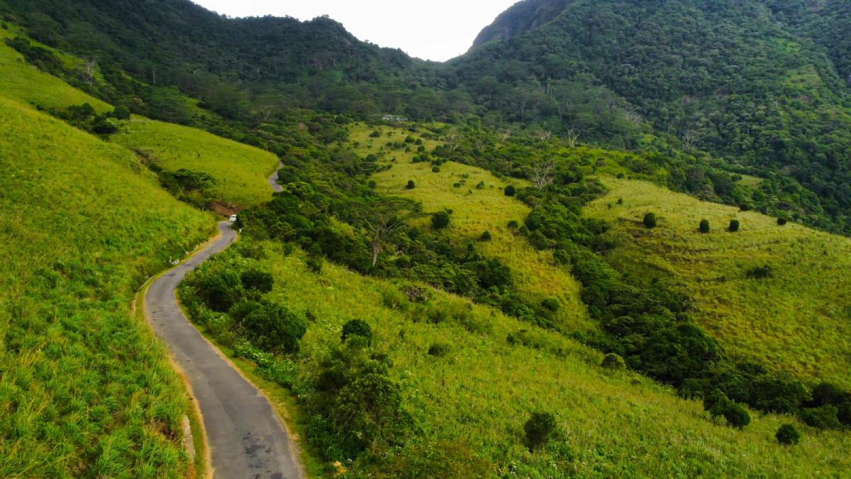 Sri Lanka Should Be on Your Travel Bucket List
