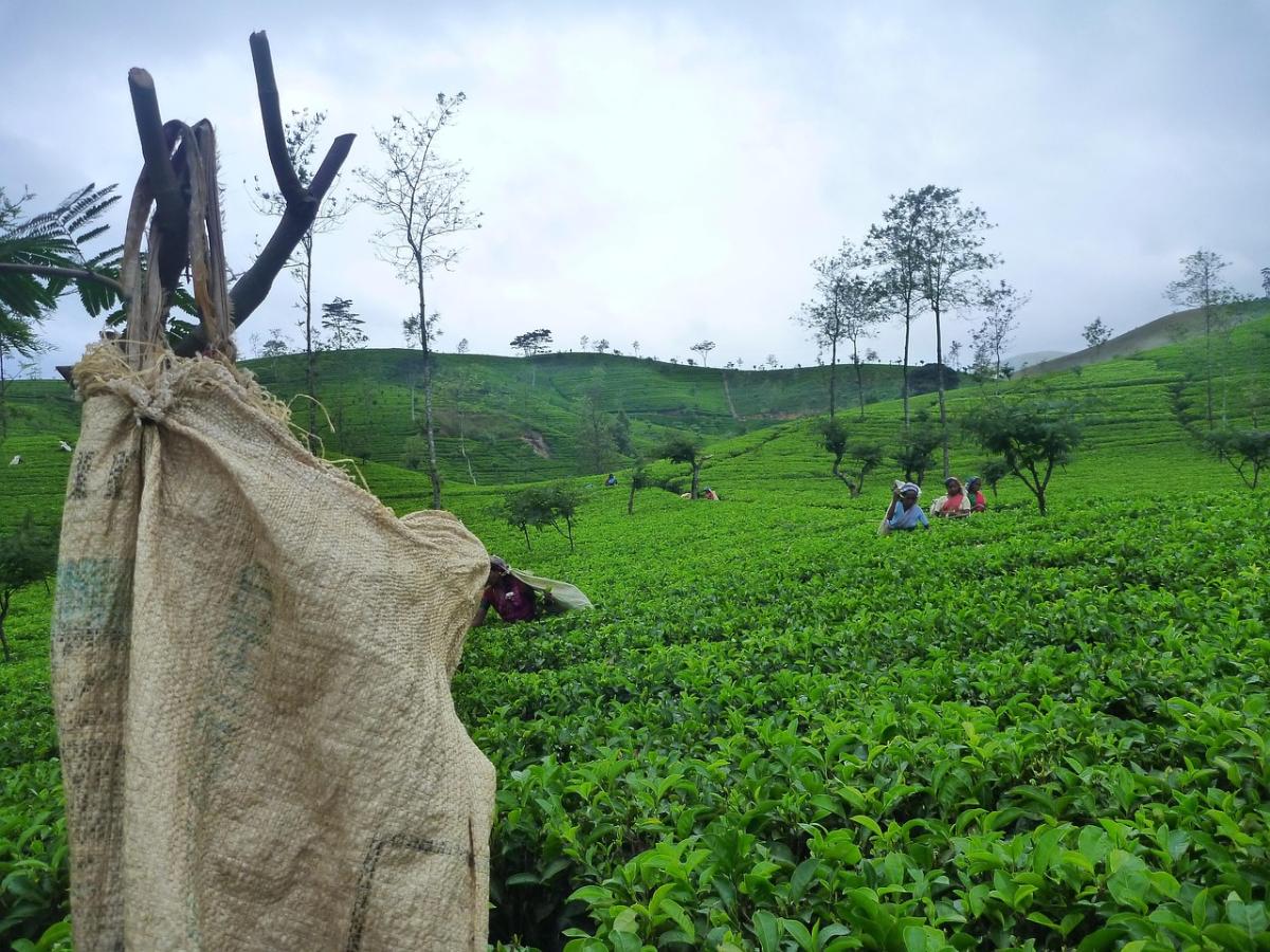 Sri Lanka Top Tourism Attractions