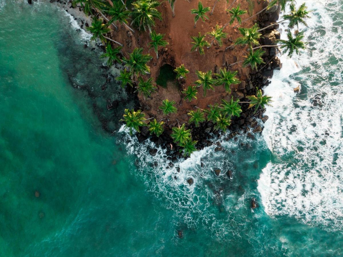 Mirissa: Sri Lanka's Coastal Paradise