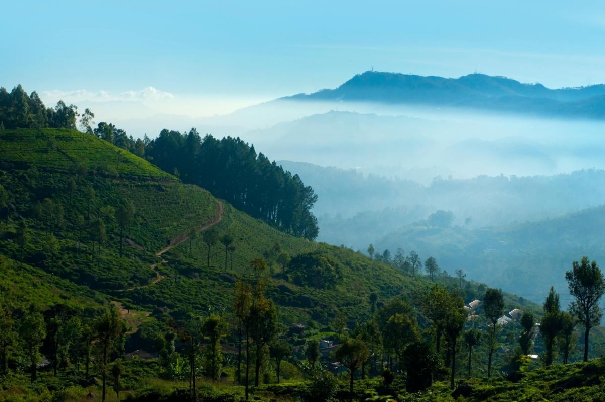 Best Places Visiting Nuwara Eliya
