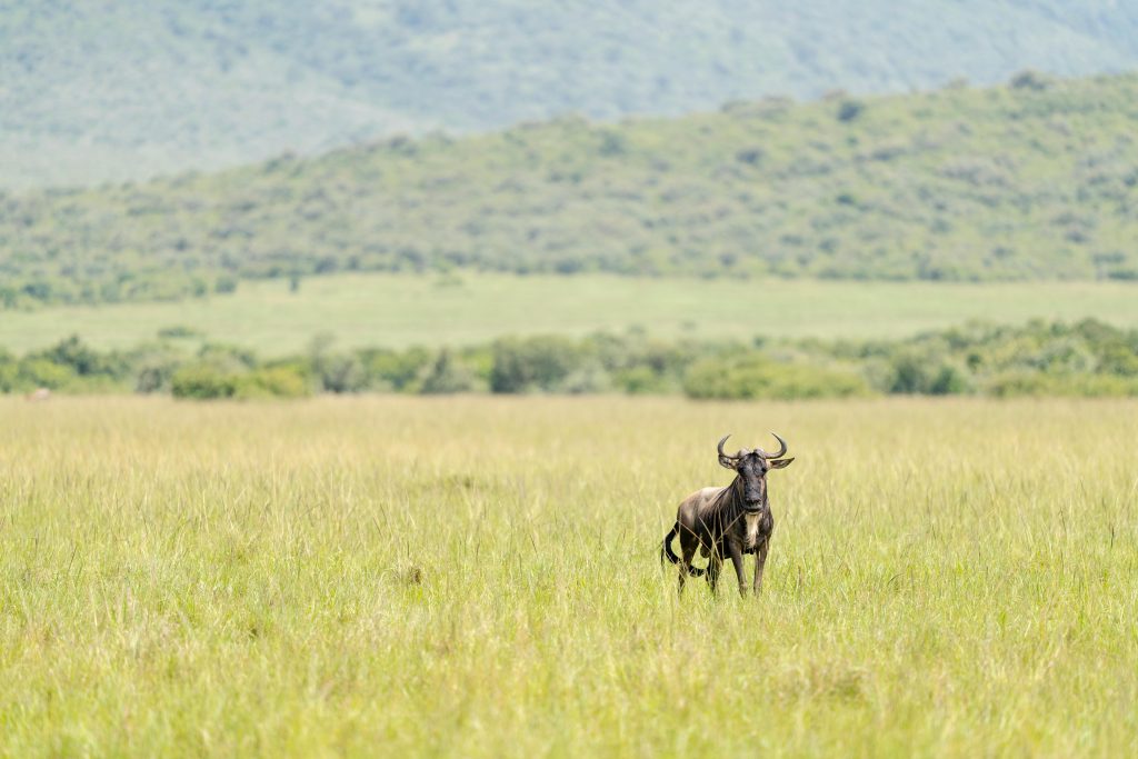 Horton Plains National Park in Sri Lanka