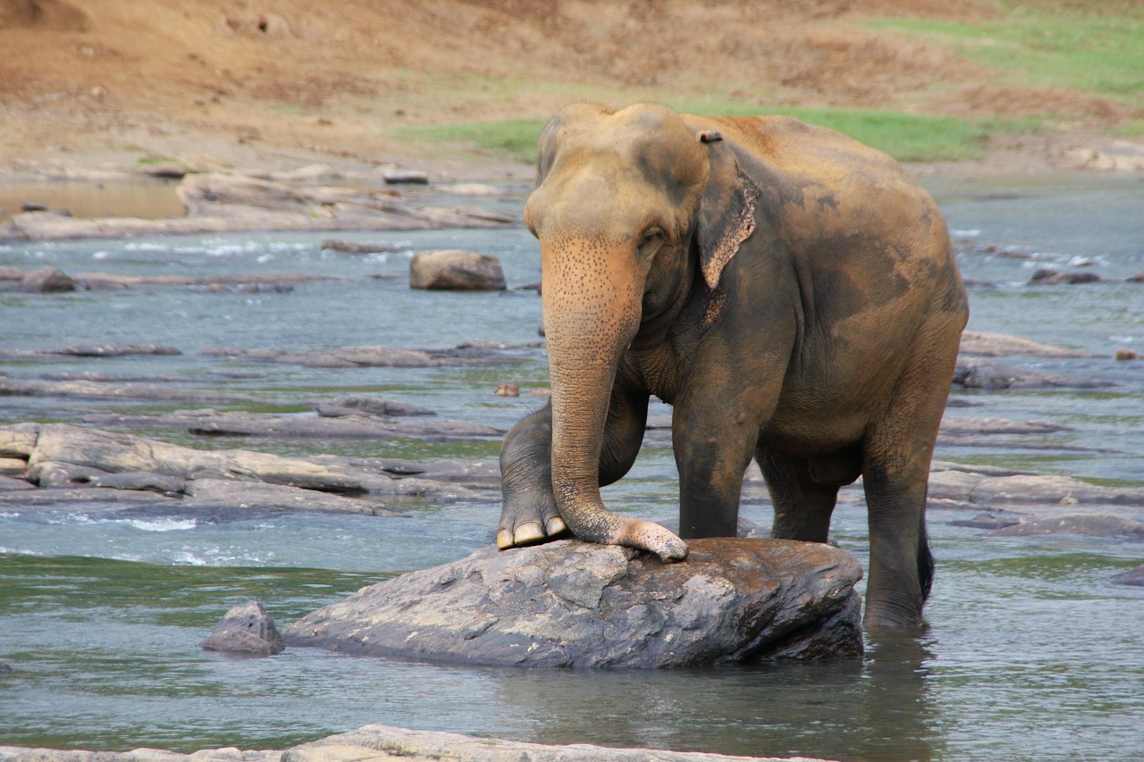 The Ultimate Sri Lanka Packing List