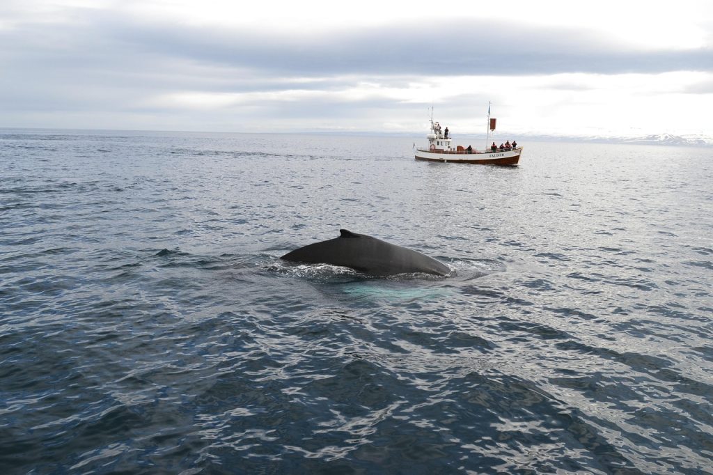 Top 10 Adventures in Sri Lanka