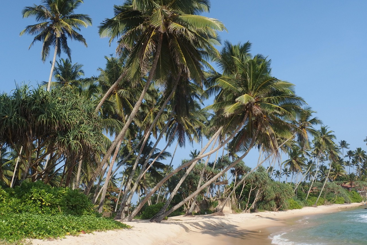 Planning Your Sri Lankan Adventure