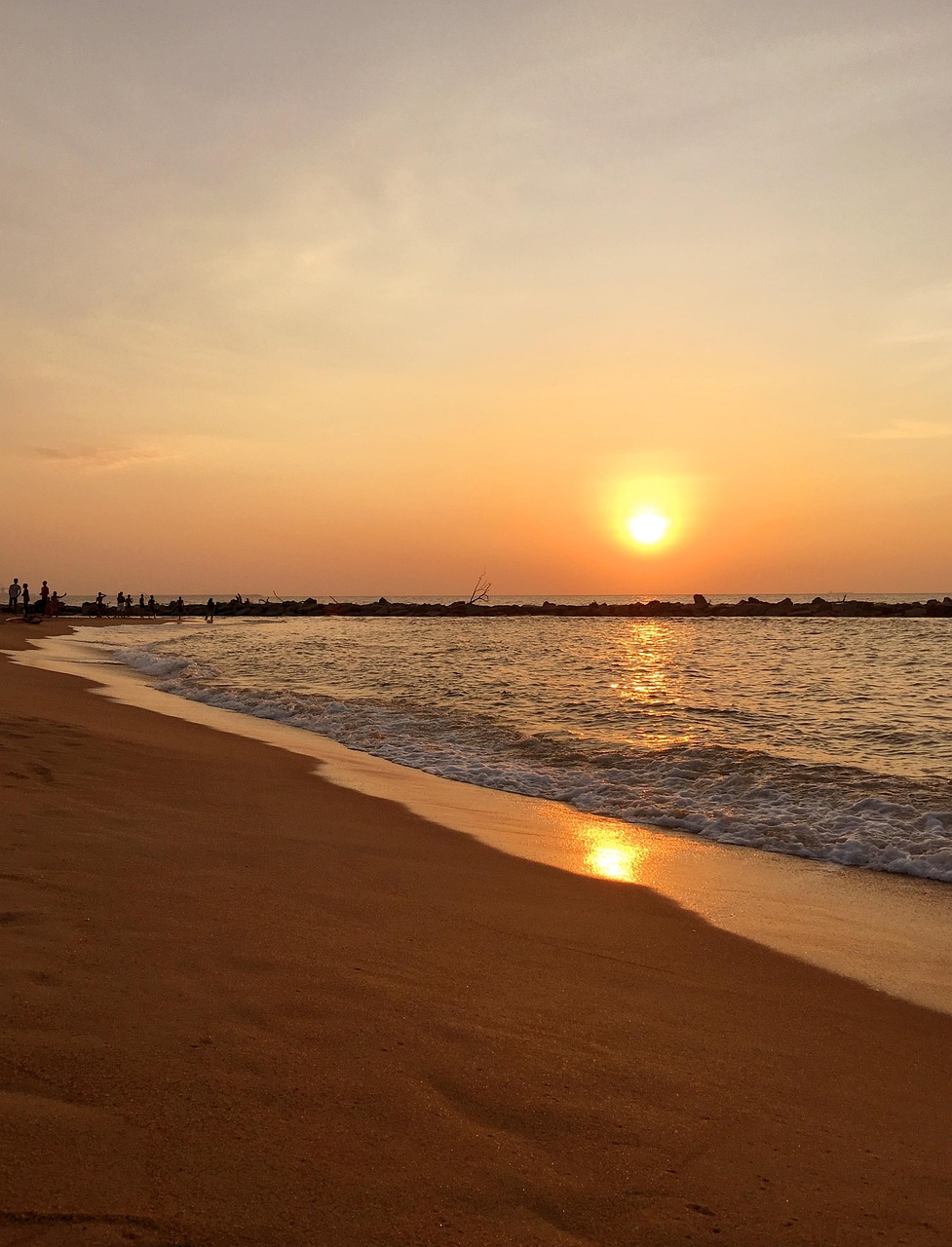 The Ultimate Guide to Sri Lanka Best Travel Seasons