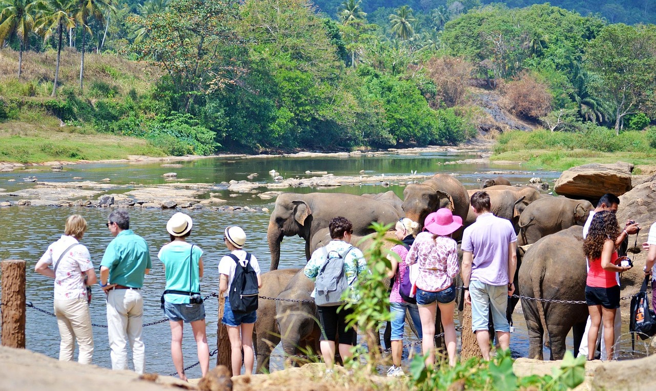 Pinnawala Elephant Orphanage Sri Lanka