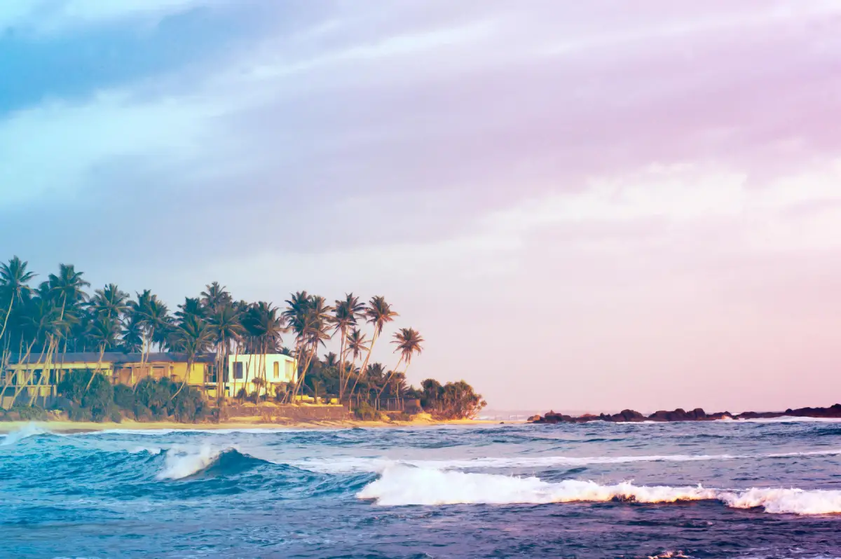 Top 5 Tourism Attractions in Sri Lanka