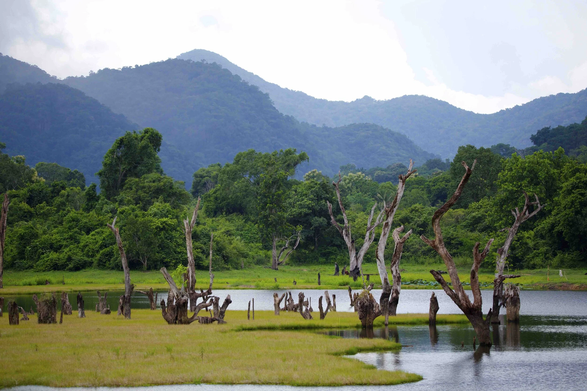 Gal Oya National Park Swimming with Elephants