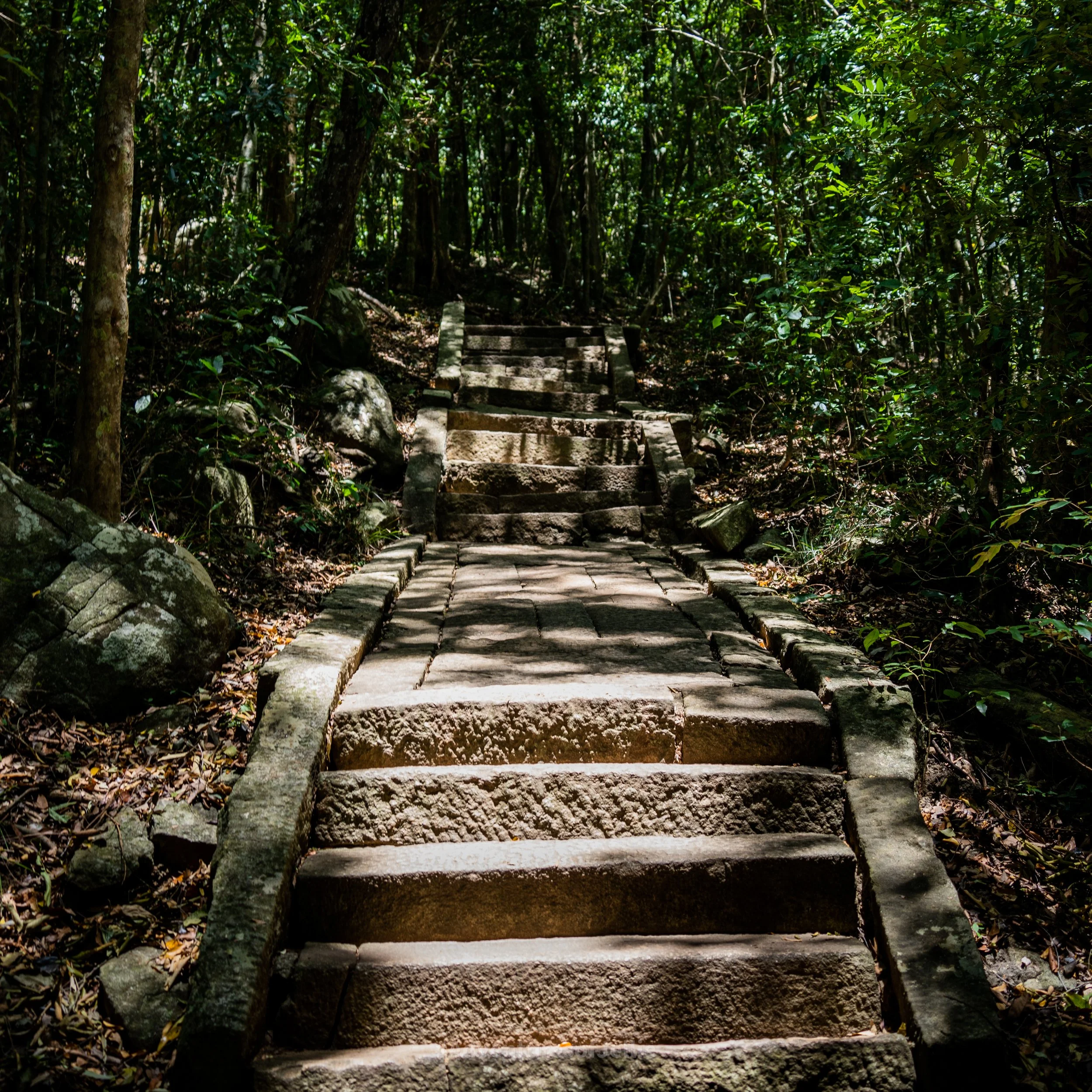 Ritigala Forest Monastery
