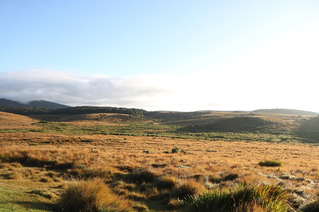 Why Visit Sri Lanka in 2026