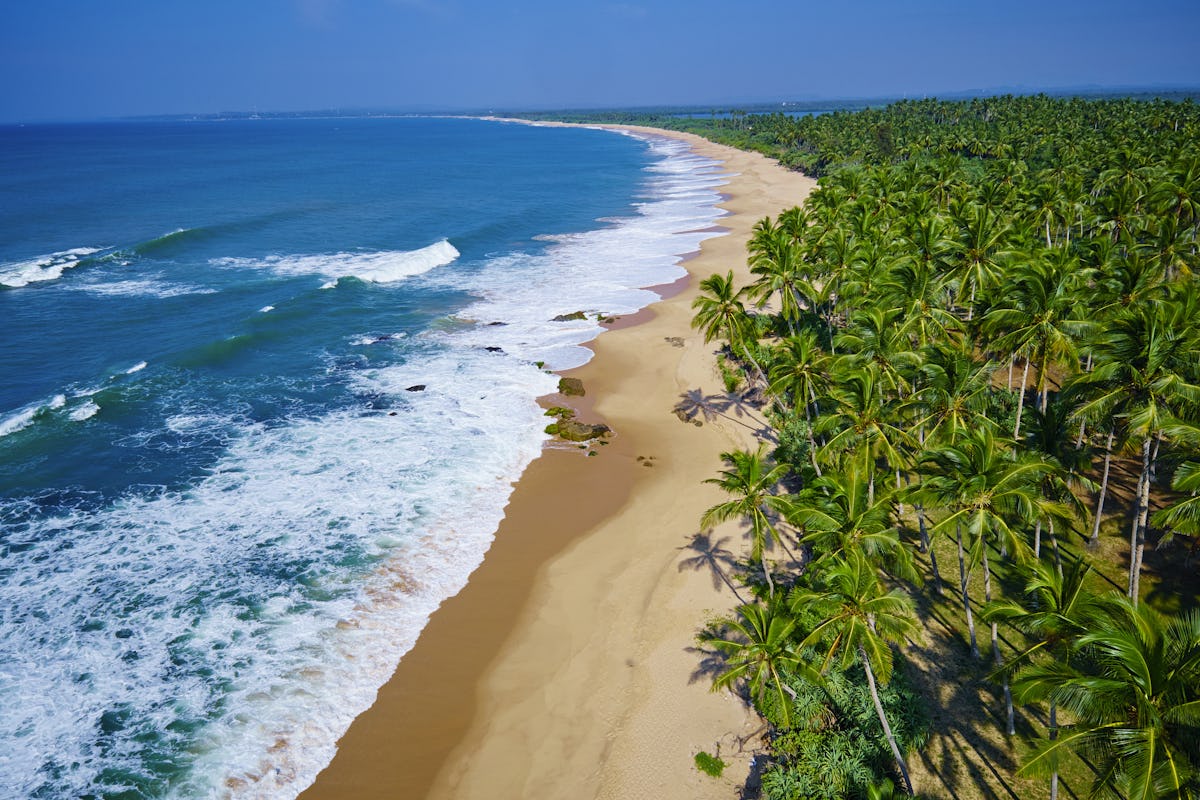 Sri Lanka Itinerary 2025 Perfect 7 Day Plan