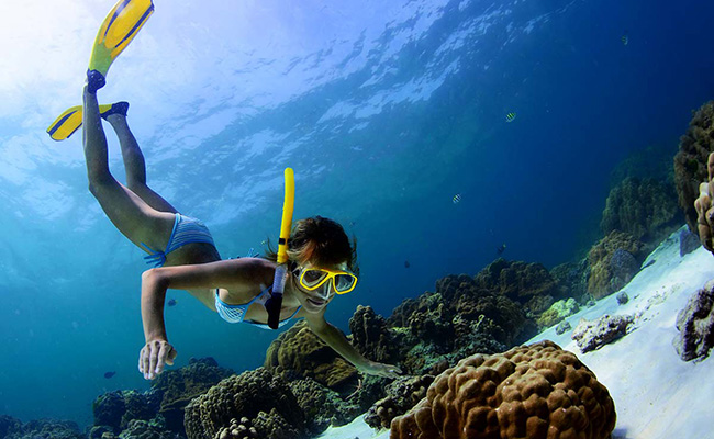 Hikkaduwa Coral Reef and Glass Boat