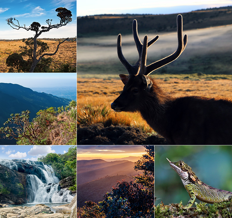 Horton Plains and World’s End