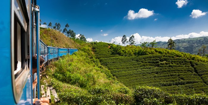 Nuwara Eliya Tea Country Tour