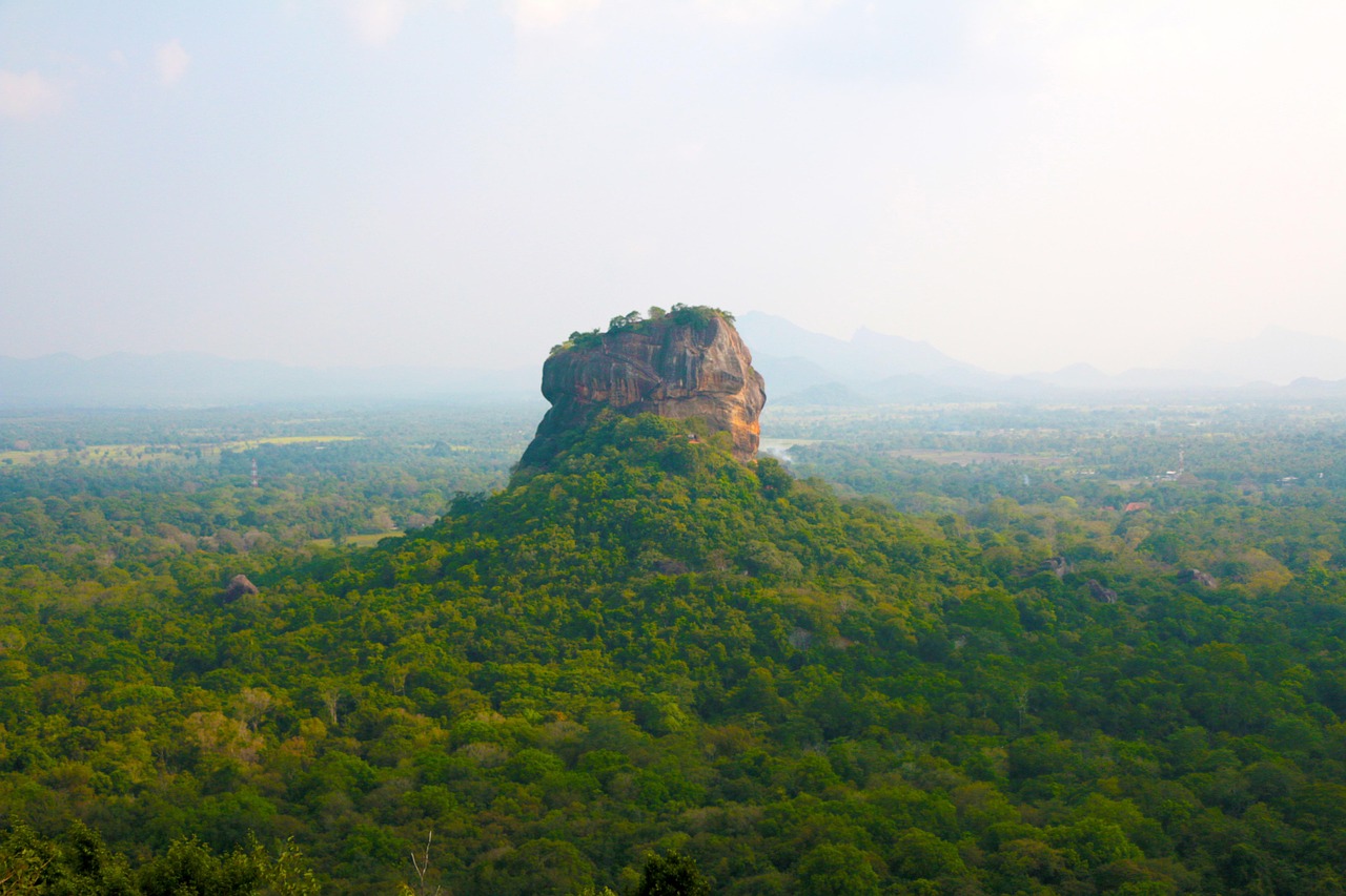 Sigiriya Village Tour and Safari