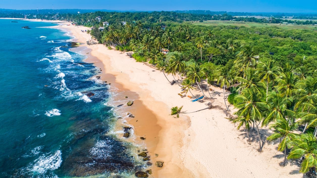 Top 10 Reasons to Visit Sri Lanka in 2026