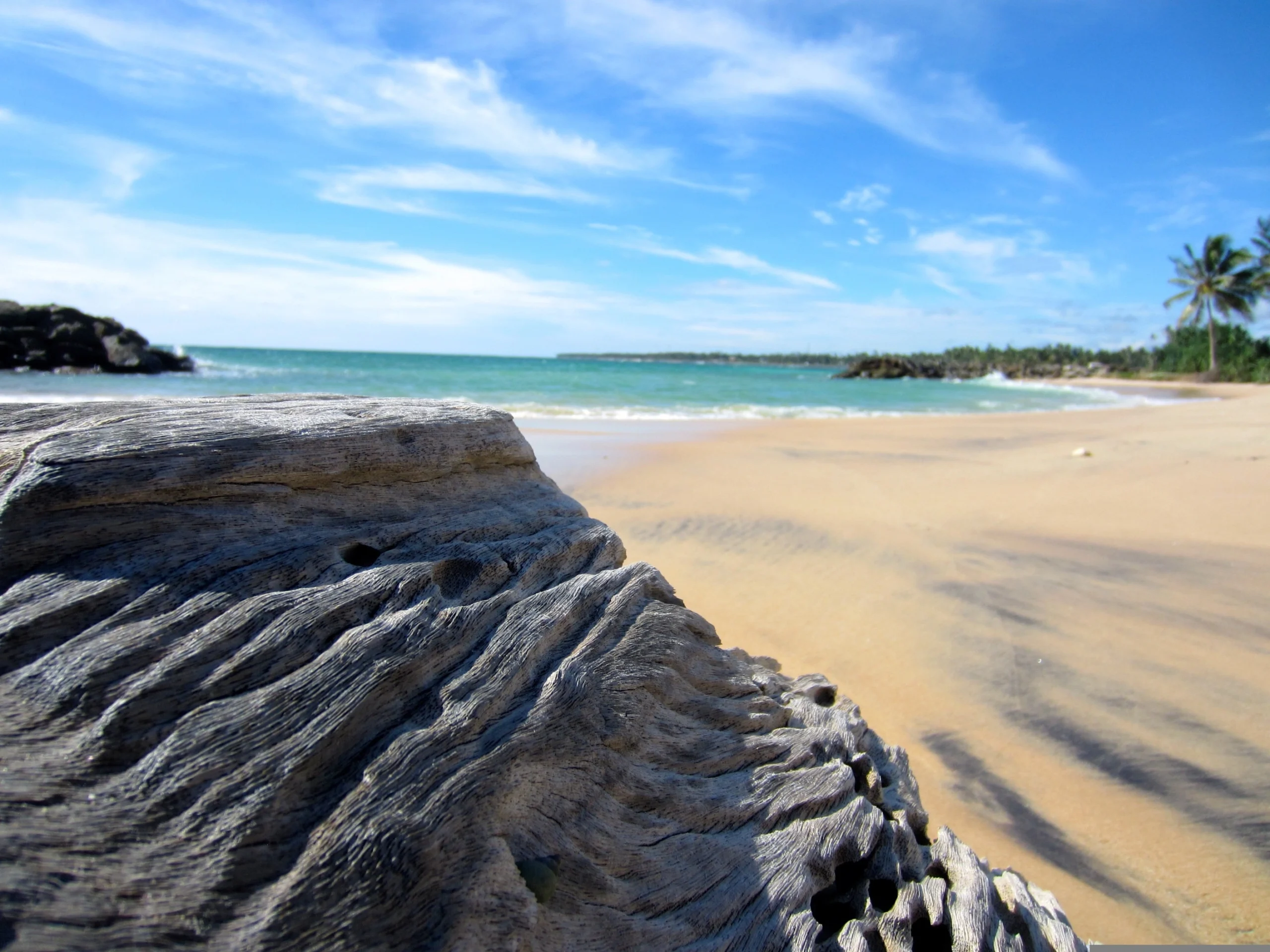 What are the Best Beaches in Sri Lanka?