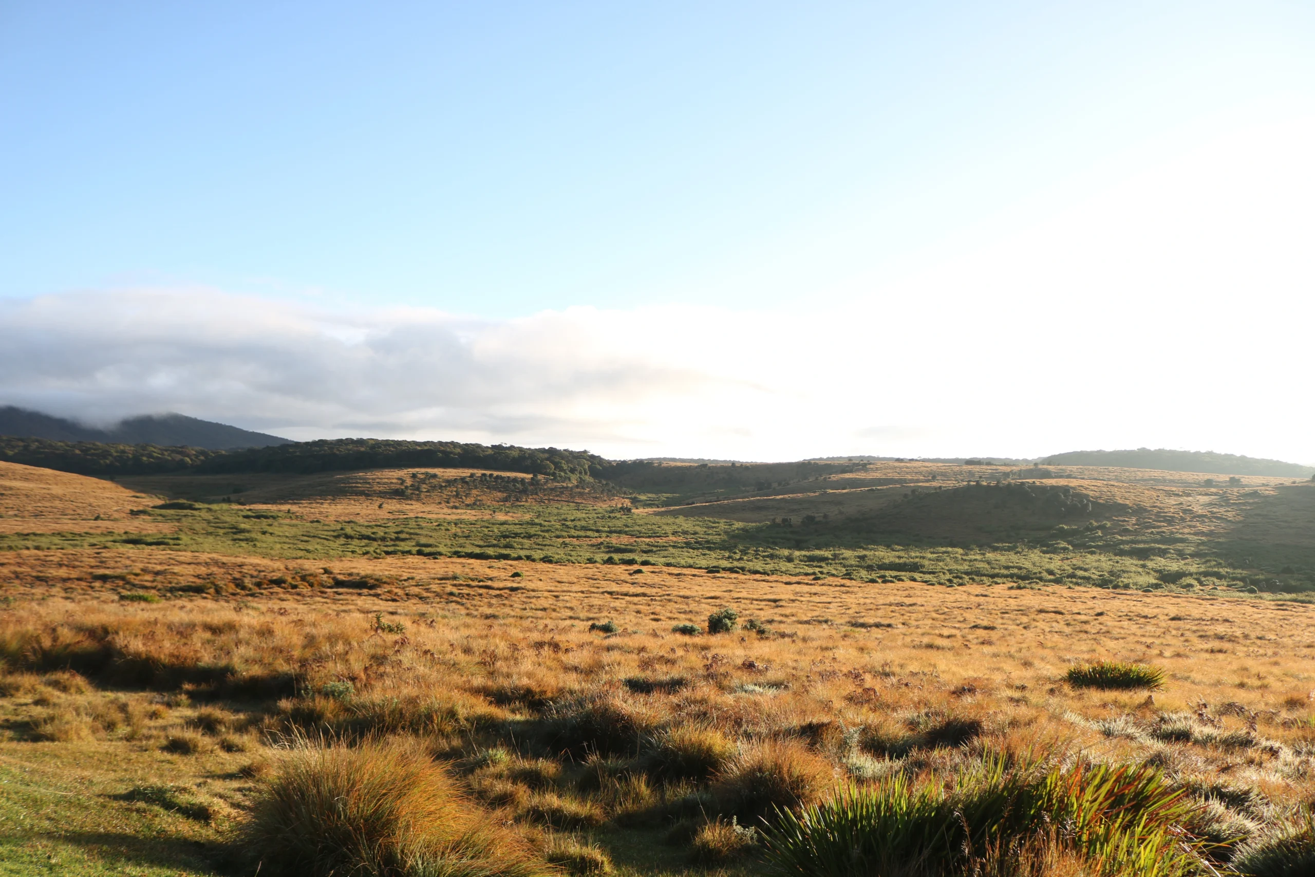 What Are the Best Places to Visit in Sri Lanka?