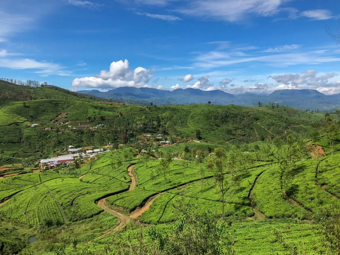 What are the best souvenirs from Sri Lanka?